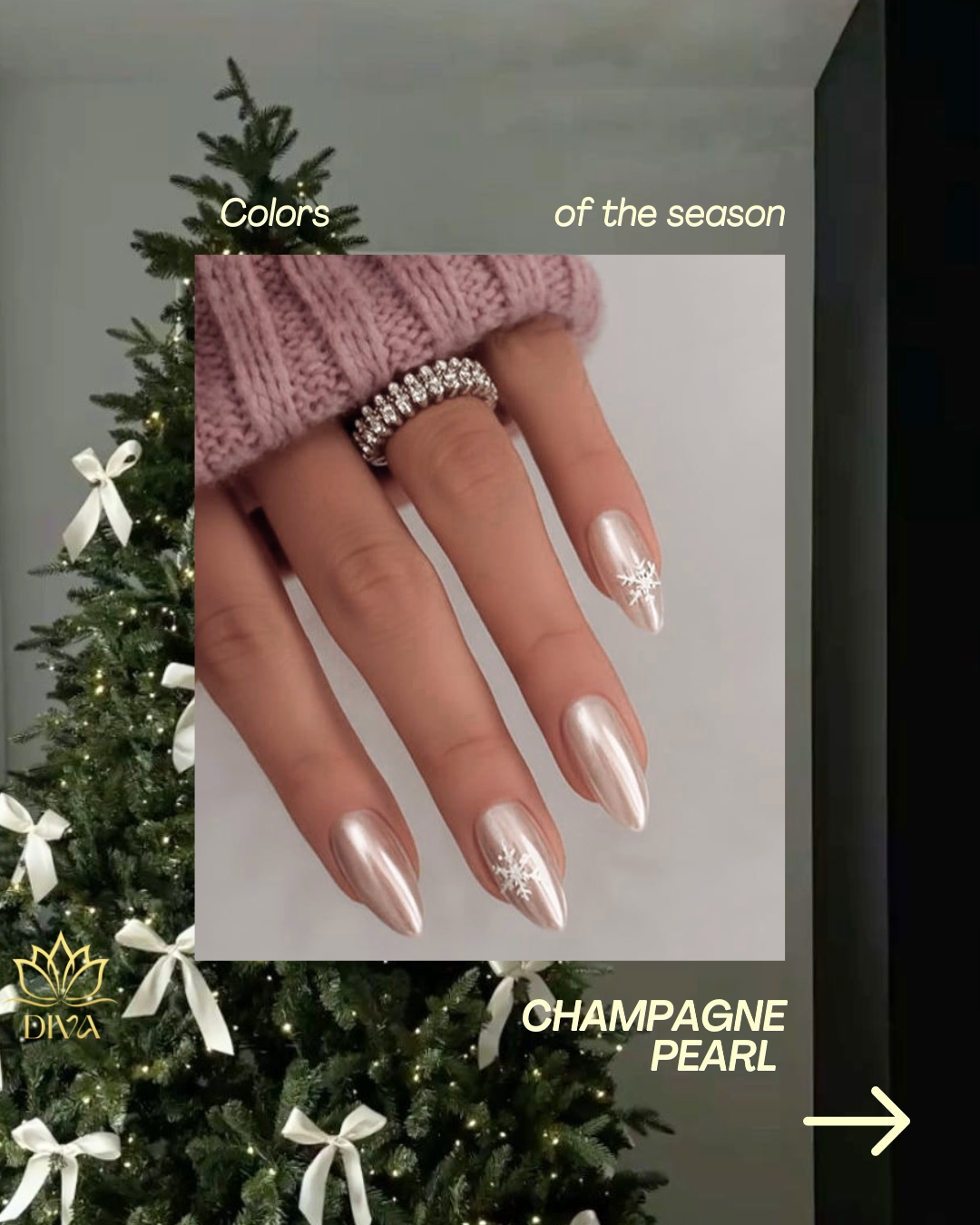 DivaNS_insta_Mr_Nicky_Long_3